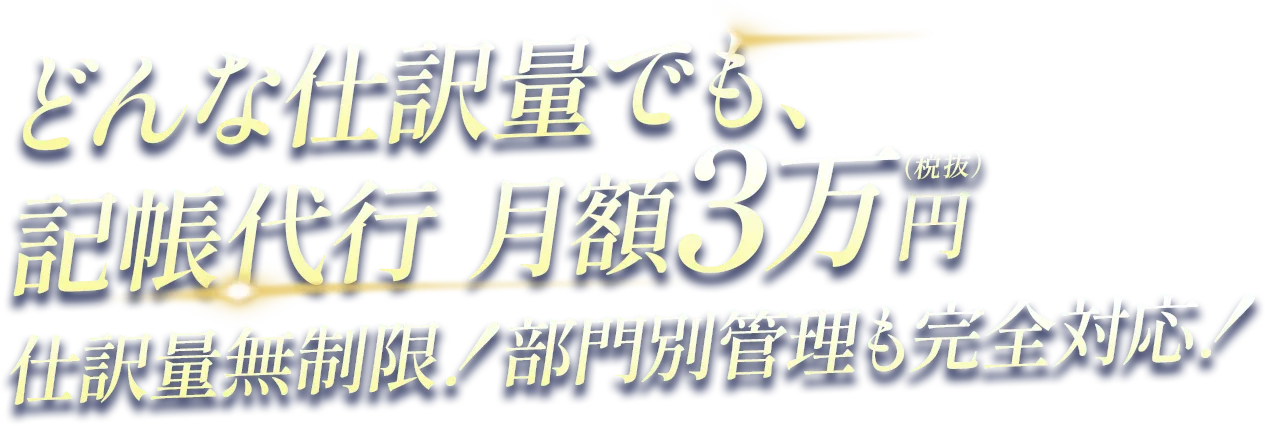 どんな仕訳量でも、記帳代行 月額3万円（税抜）。仕訳量無制限！部門別管理も完全対応！